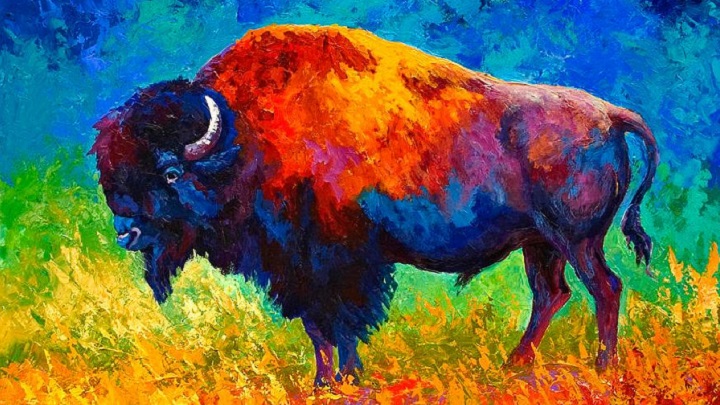 Bufalo