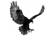 Akaretler